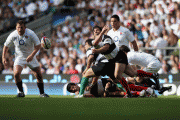 d8744282625135.gif